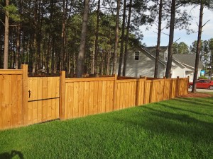 Privact Fence with custom design